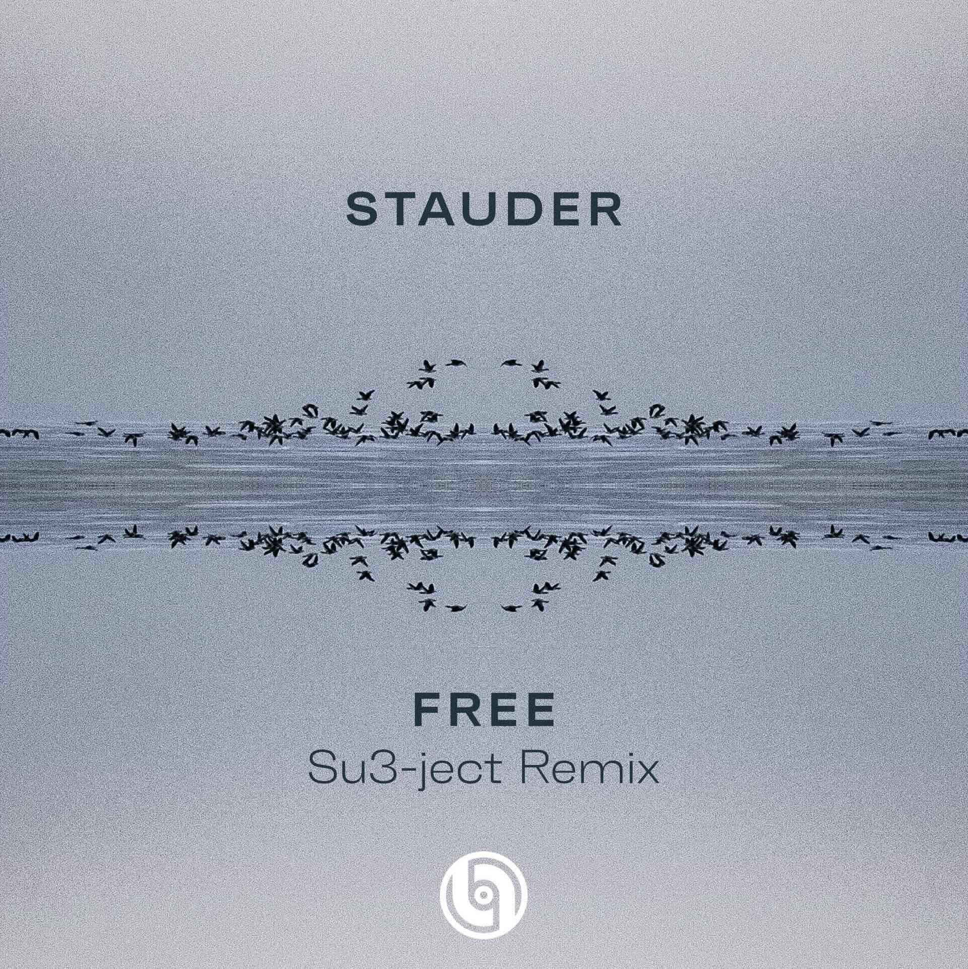 Stauder Free Remix Web